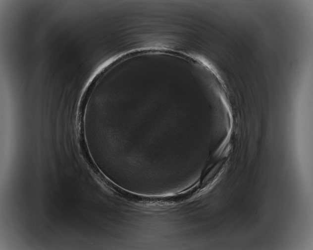 X0000086301077200704131604