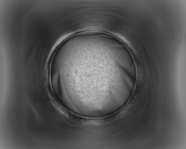 X0000086301078200704131604