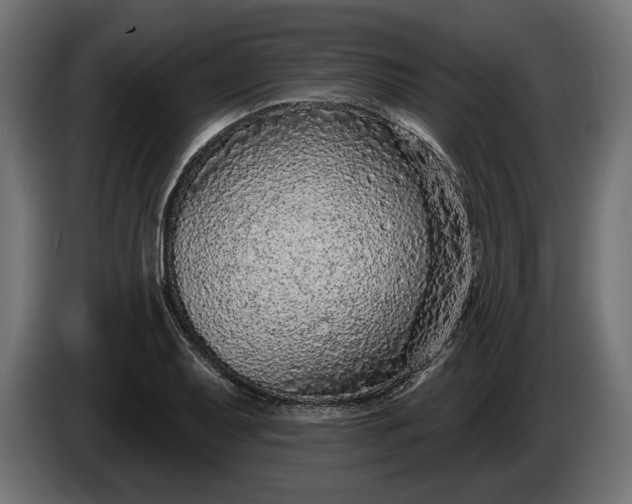 X0000086301079200704131604