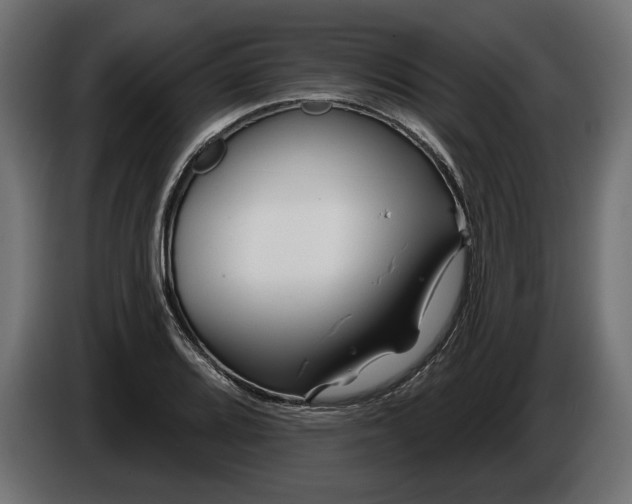 X0000086301080200704131604