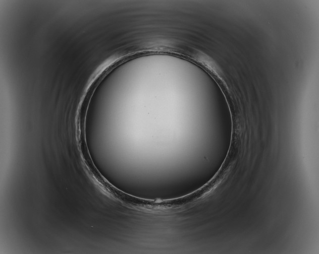 X0000086301082200704131604