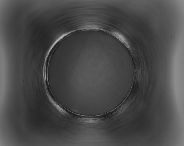 X0000086301084200704131604