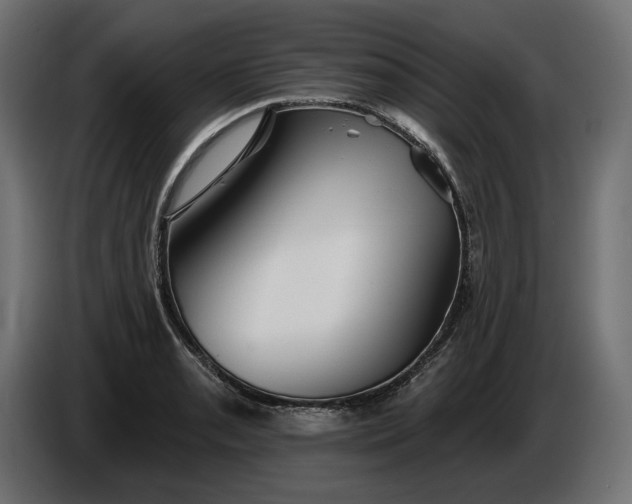 X0000086301085200704131604