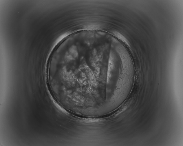 X0000086301087200704131604