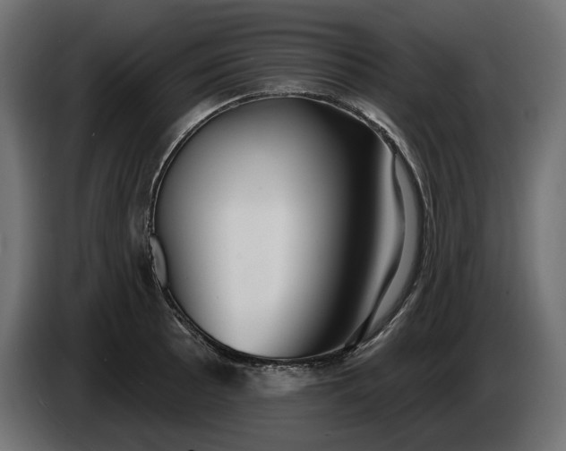 X0000086301089200704131604