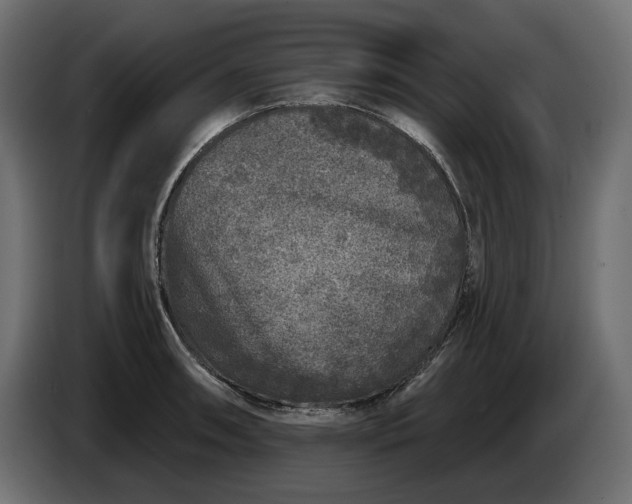 X0000086301090200704131604