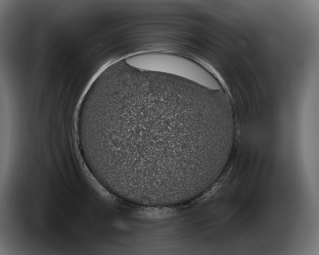 X0000086301091200704131604