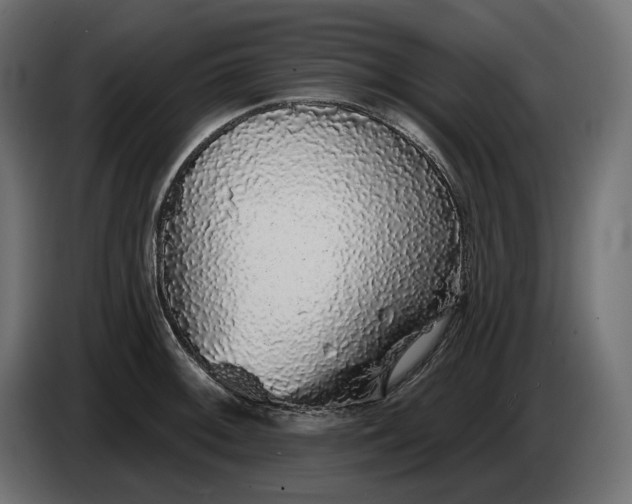 X0000086301092200704131604