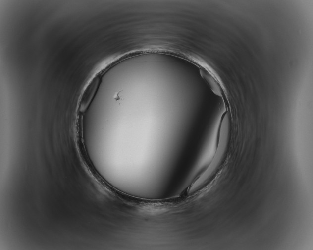 X0000086301093200704131604