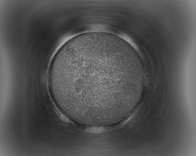 X0000086301094200704131604