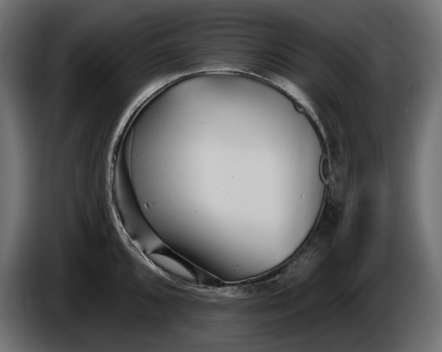 X0000086301096200704131604