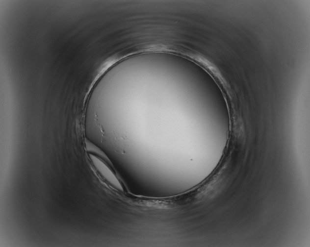 X0000086301097200704131604