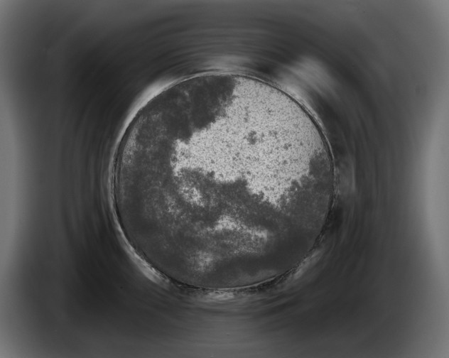 X0000086301098200704131604