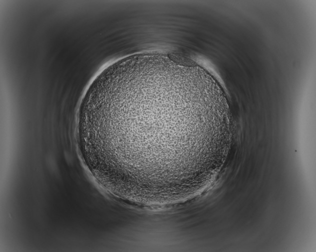 X0000086301099200704131604