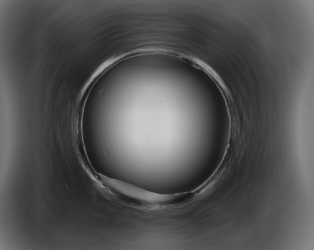 X0000086301101200704131604