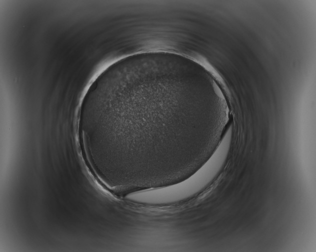 X0000086301102200704131604