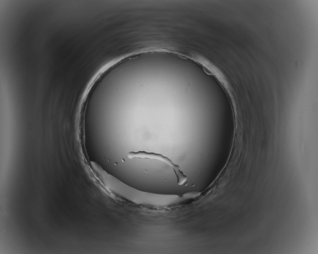 X0000086301104200704131604