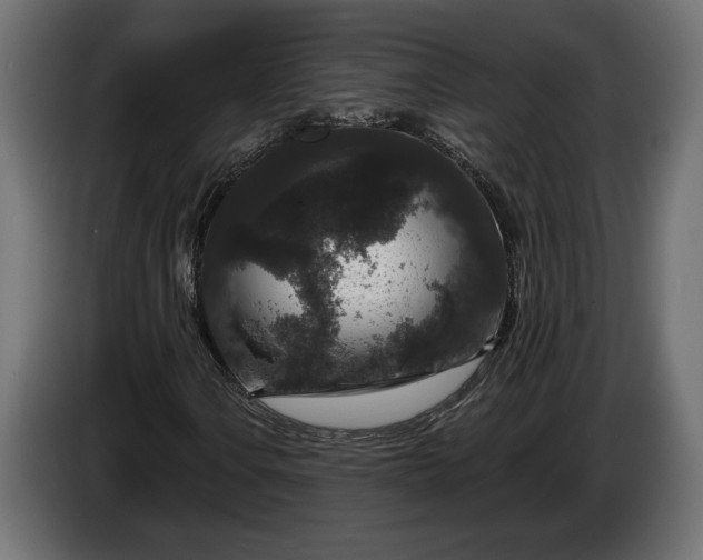 X0000086301106200704131603