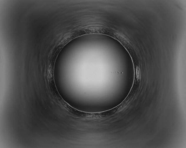 X0000086301107200704131603