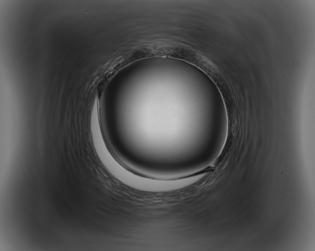 X0000086301108200704131603