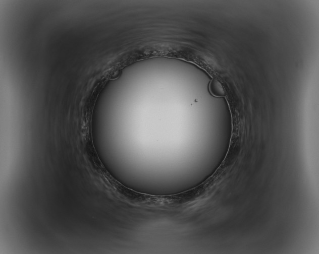 X0000086301109200704131603