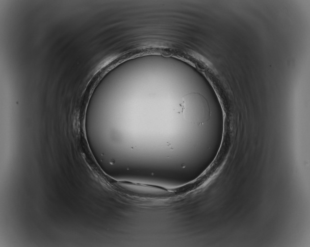 X0000086301113200704131603