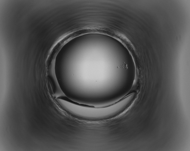 X0000086301114200704131603