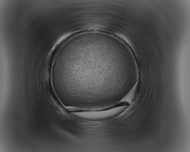 X0000086301115200704131603