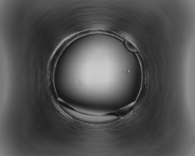 X0000086301116200704131603