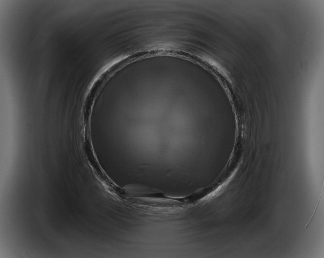 X0000086301117200704131603