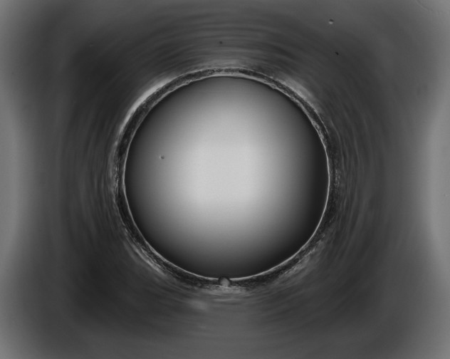 X0000086301119200704131603