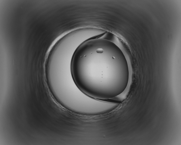 X0000086301120200704131603