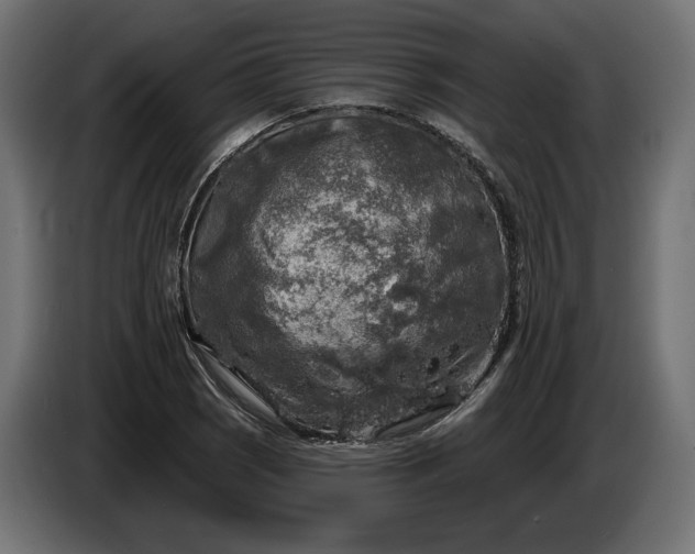 X0000086301121200704131603