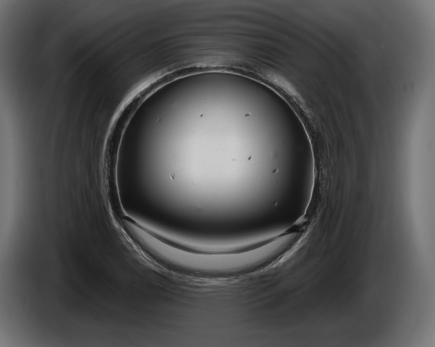 X0000086301122200704131603