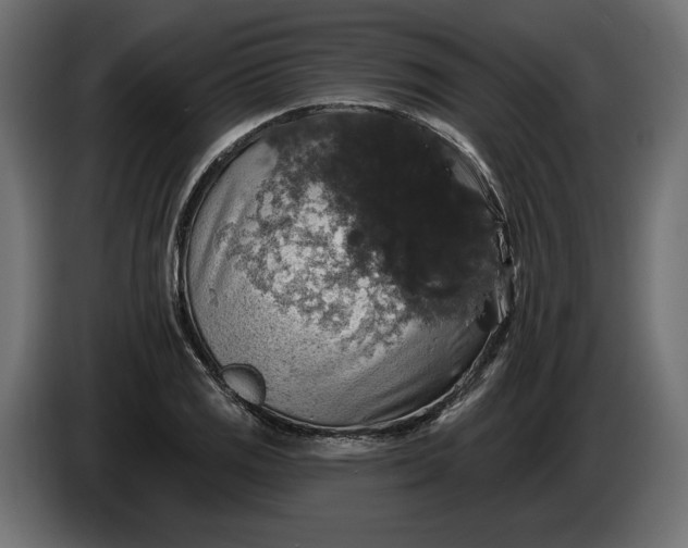 X0000086301125200704131603