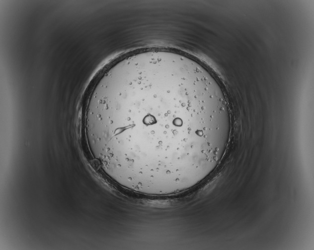 X0000086301126200704131603