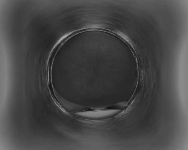 X0000086301127200704131604