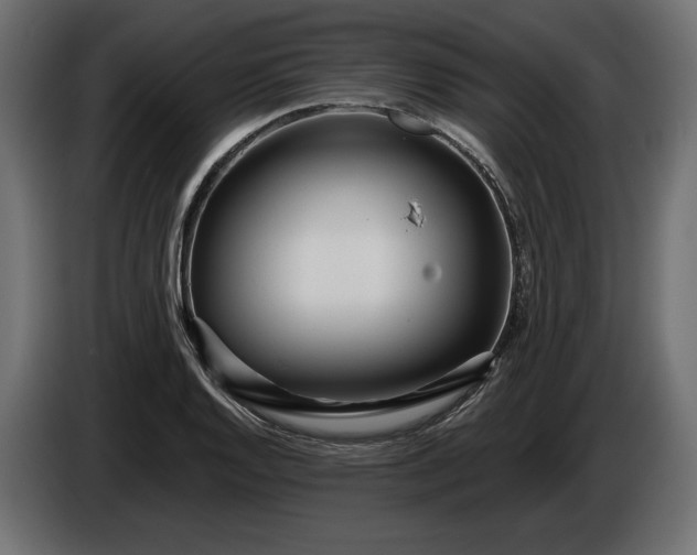 X0000086301128200704131604