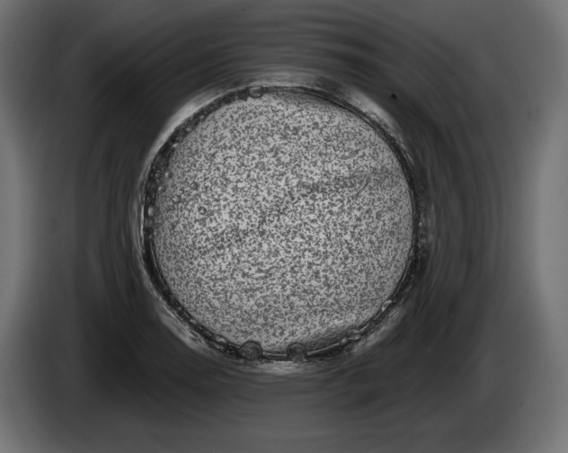 X0000086301130200704131604