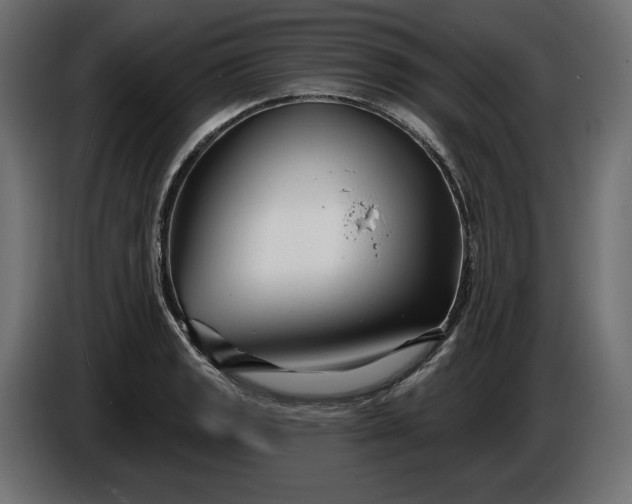 X0000086301133200704131604