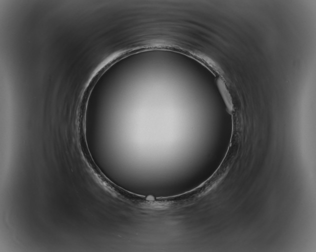 X0000086301134200704131604