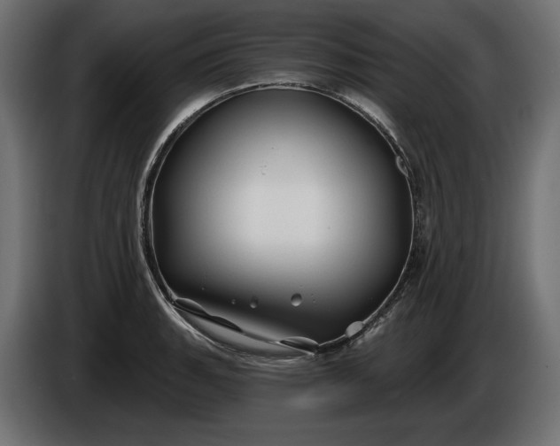 X0000086301135200704131604