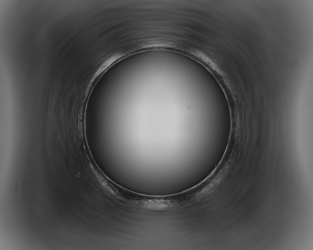 X0000086301137200704131604