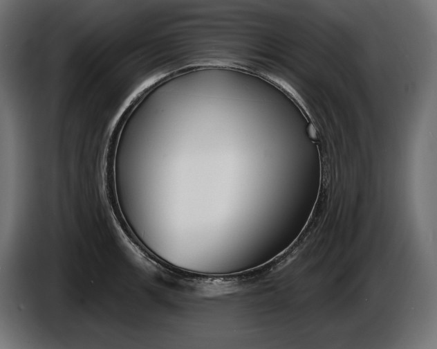 X0000086301139200704131604