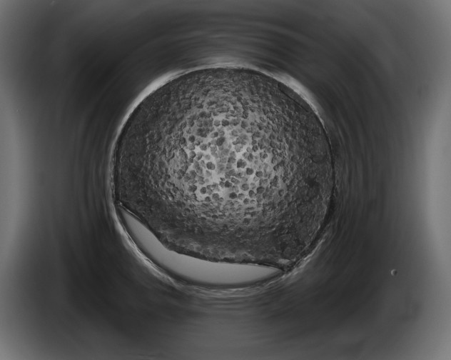 X0000086301142200704131604