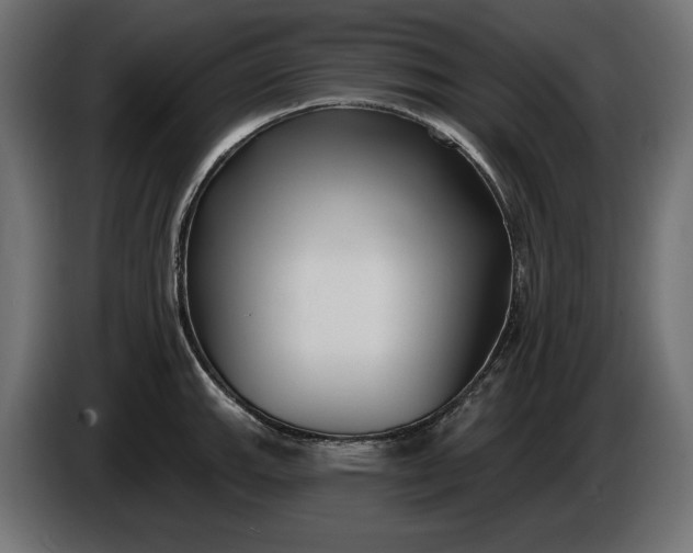 X0000086301143200704131604