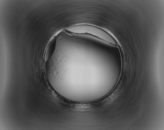 X0000086301145200704131604