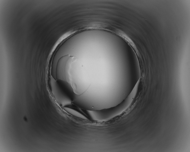 X0000086301146200704131604