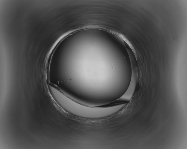 X0000086301148200704131604