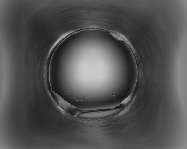 X0000086301149200704131604